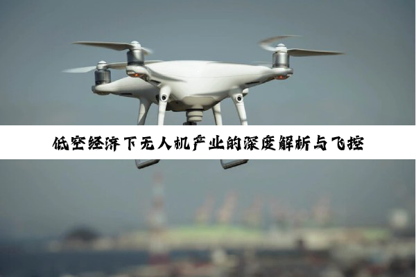 低空经济下无人机产业的深度解析与飞控技术前瞻
