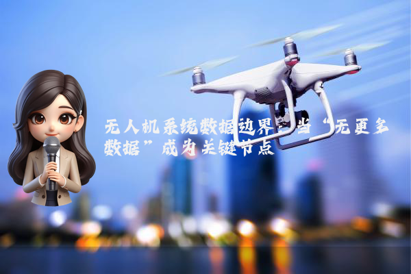 无人机系统数据边界:当“无更多数据”成为关键节点
