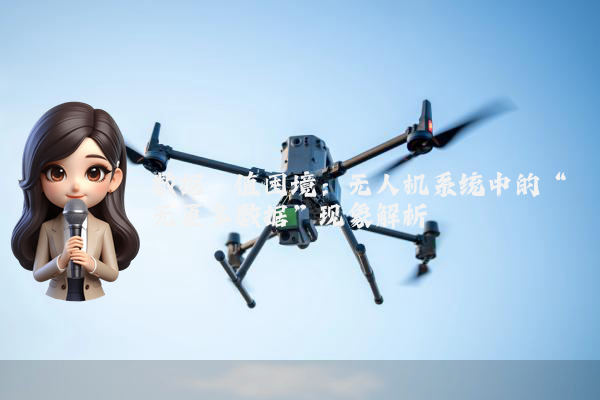 数据阈值困境:无人机系统中的“无更多数据”现象解析