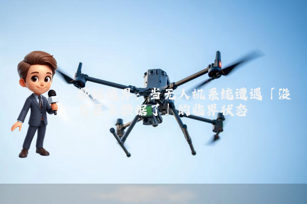 数据边界:当无人机系统遭遇「没有更多数据了」的临界状态