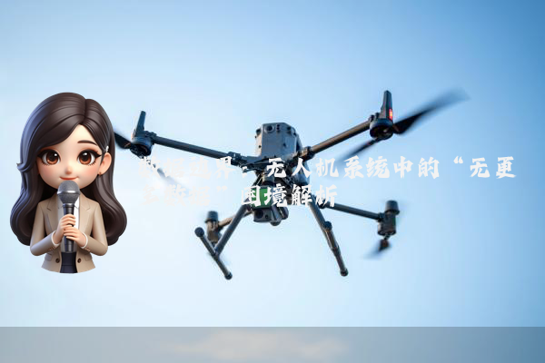 数据边界:无人机系统中的“无更多数据”困境解析