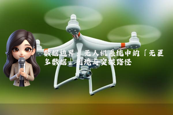 数据边界：无人机系统中的「无更多数据」困境与突破路径