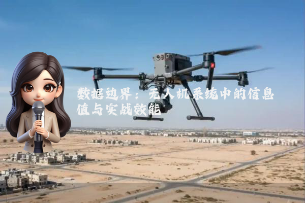 数据边界：无人机系统中的信息阈值与实战效能