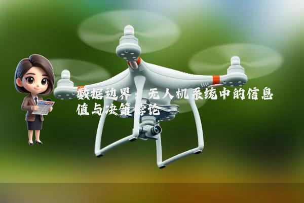 数据边界：无人机系统中的信息阈值与决策悖论