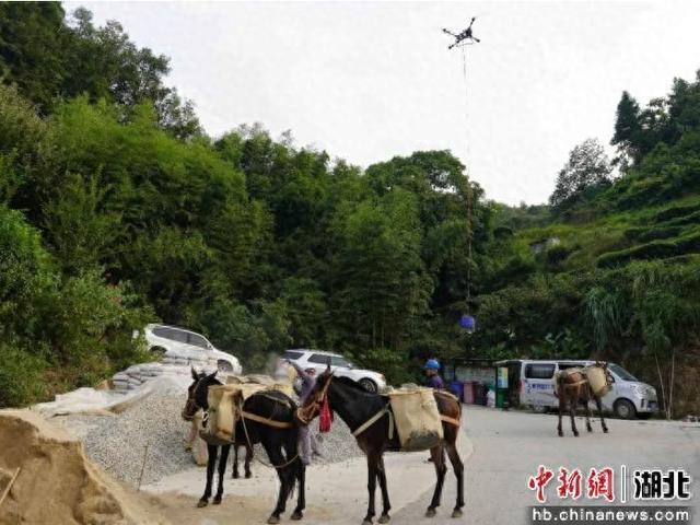 21世纪的无人机与传承千年的马帮，在三峡水运新通道工程电力迁改现场“同框”。毛翔春 摄